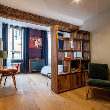 Apartmán De Prestige - Rue Des Arts Toulouse