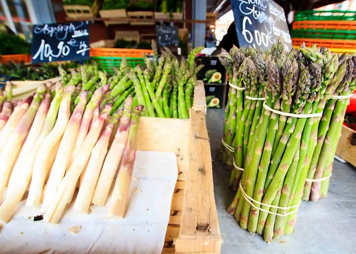 Apartmán De Prestige - Rue Des Arts *