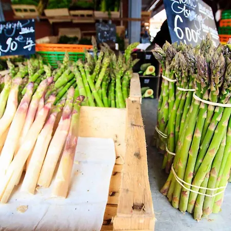 Lägenhet De Prestige - Rue Des Arts *